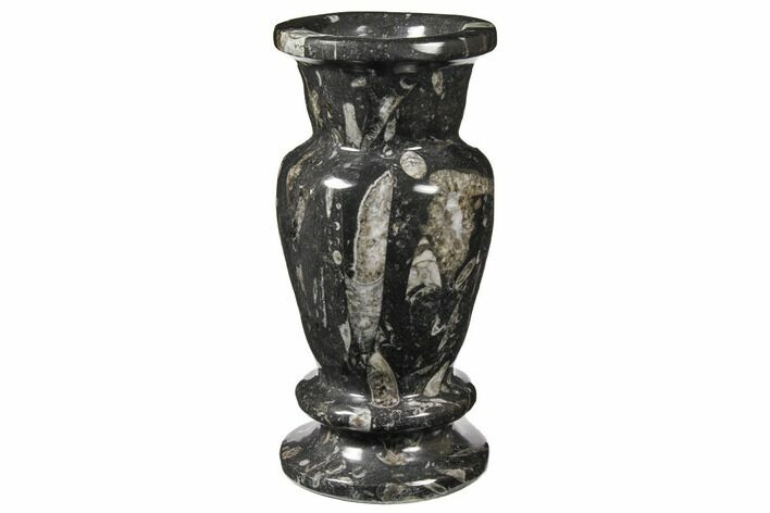 Limestone Vase With Orthoceras Fossils #122468